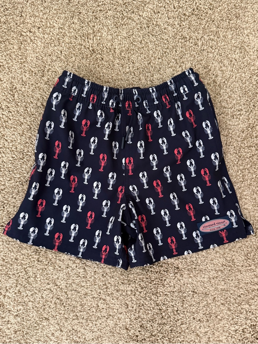 PRICE FIRM Vineyard Vines Kids Chappy Beach Lined Swim Trunks Size 6 WORN ONCE